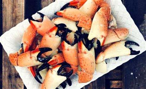 How Should Stone Crabs Be Prepared? | Fresh Stone Crabs – FreshStoneCrabs | Stone crab, Cooking ...