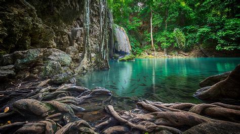 Erawan waterfall with fish pond in Erawan National Park, Kanchanaburi ...