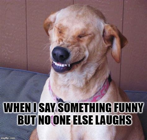 laughing dog Latest Memes - Imgflip