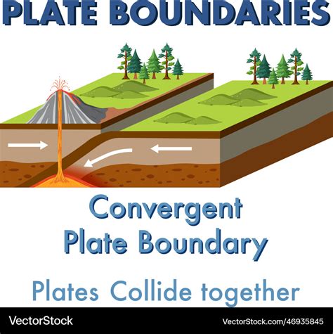 Convergent plate boundary with explanation Vector Image