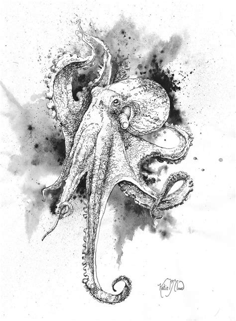 Drawing Sketch Of Octopus | Sketch Drawing Idea