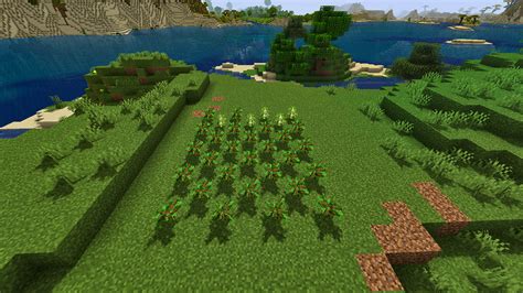 How to Grow a Tree Farm in Minecraft - 12Tails