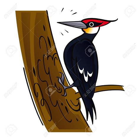 Woodpecker bird clipart - Clipground