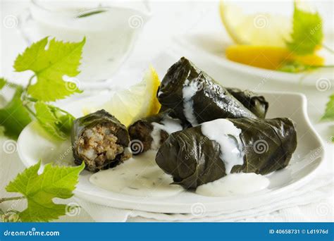 Dolma, Stuffed Grape Leaves, Stock Image - Image of lunch, color: 40658731