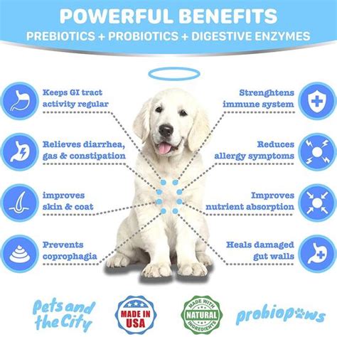 Probiotics Dogs Rebates - RebateKey