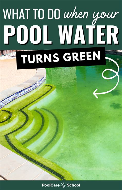 6 Things to Do When Your Pool Water Turns Green | Best Way to Clean a Green Pool DIY in 2021 ...