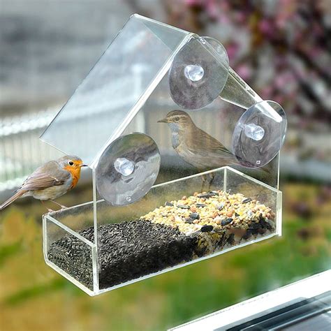 Willstar Bird Feeder Wild Bird Seed Feeder Removable Window Suction ...