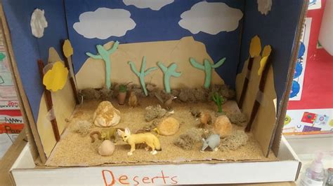 Grassland Ecosystem Diorama