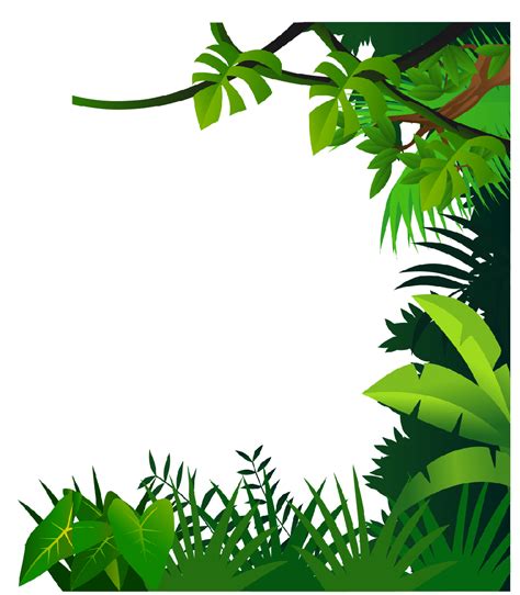 Jungle PNG transparent image download, size: 1024x1171px