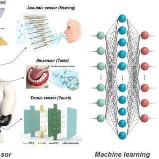 Schematic illustration of key components (flexible sensor and ML ...