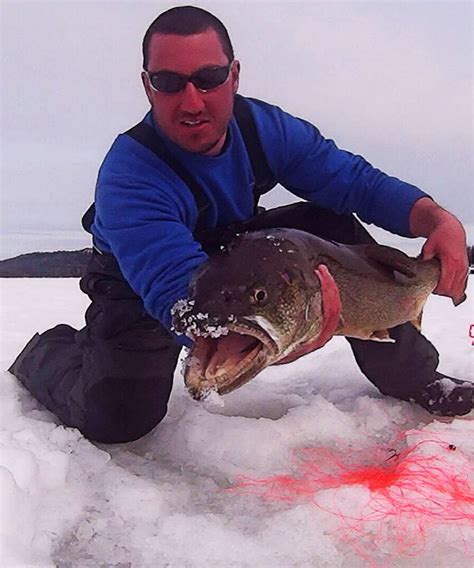 Adirondack lake trout - Ice fishing - Lake Ontario United - Lake ...