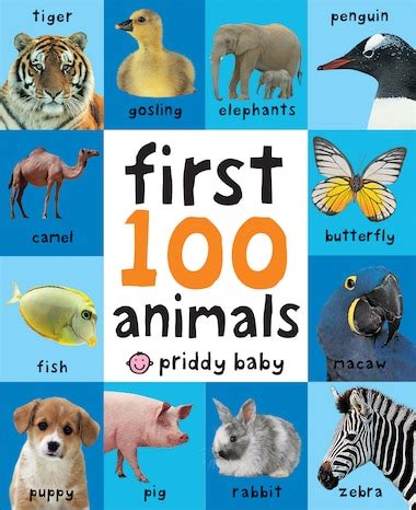 First 100 Animals, Book by Roger Priddy (Board Book) | www.chapters.indigo.ca