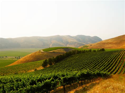 Top 10 Santa Maria Valley Wineries in Santa Barbara County | The JetSetting Fashionista