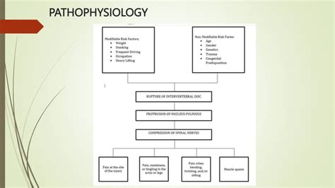 Herniated Nucleus Pulposus (HNP).pptx