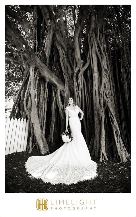 Ernest Hemingway House | Key West #Bride #Dress #Wedding #limelightphotography #Weddi… | Wedding ...