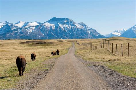 Waterton Lakes National Park