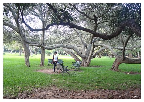 Lalbagh Botanical Garden Part 2:Photos,Review Videos | Anki On The Move