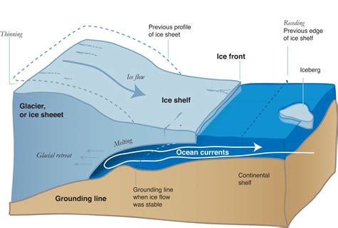 Antarctic Quest Seeks to Predict the Fate of a Linchpin Glacier | Scientific American