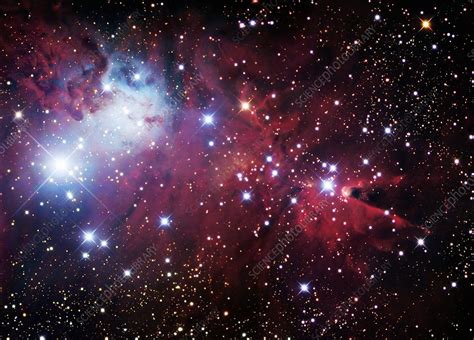 Christmas Tree Cluster (NGC 2264) - Stock Image - R560/0411 - Science ...