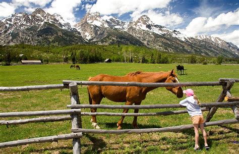 Plan a Family Dude Ranch Vacation - Wyoming Dude Ranch Association