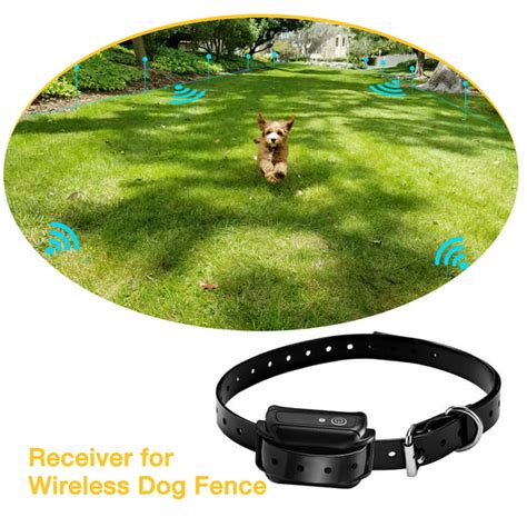 Wireless Dog Fence Receiver Collar - Walmart.com - Walmart.com