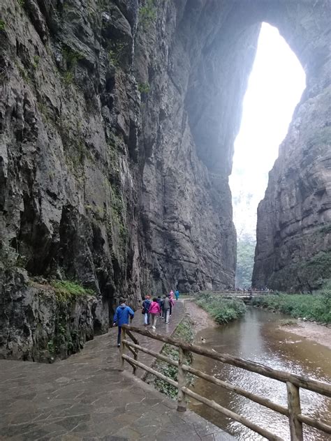 ChongQing wulong Karst Tour - China ChengDu Tours, Chengdu Panda Volunteer Program