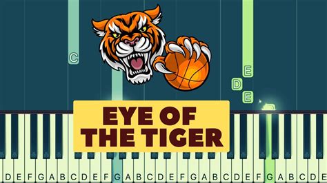 Eye of the Tiger - Easy Piano Tutorial with Chords Chords - Chordify