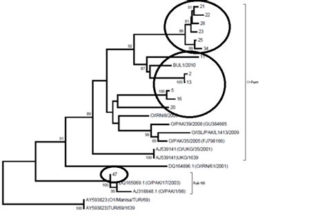 The serotype 'O' has been identified and found to be accountable for... | Download Scientific ...