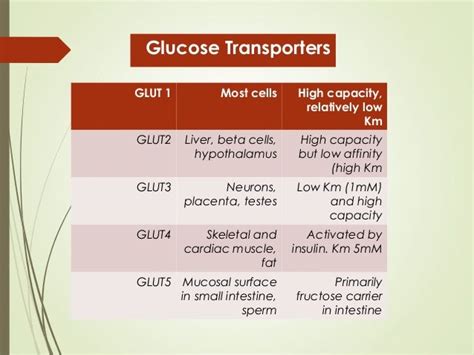 Presentation glucose transporters