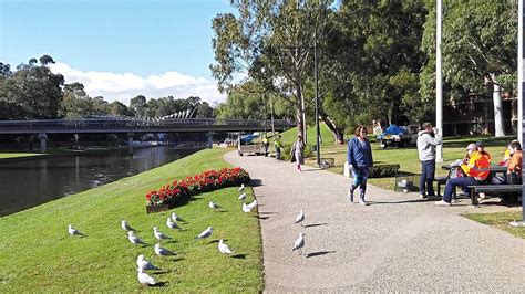 Relaxing Walk Along Parramatta River From Lennox Bridge To Ferry Wharf, Parramatta, Sydney ...