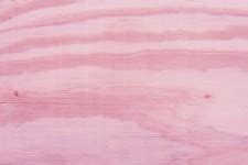 Coral Pink Background Free Stock Photo - Public Domain Pictures