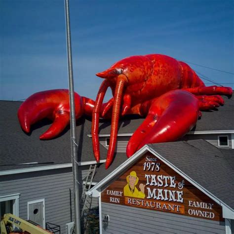 Maine Restaurant With World's Largest Lobster Roll Opens Again