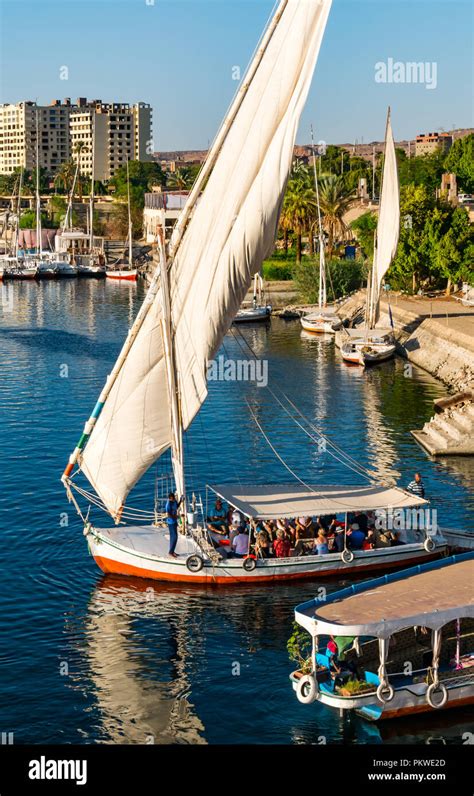 Felucca sailing boat egypt hi-res stock photography and images - Alamy