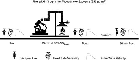 Experimental design. A crossover design was used for the investigation... | Download Scientific ...