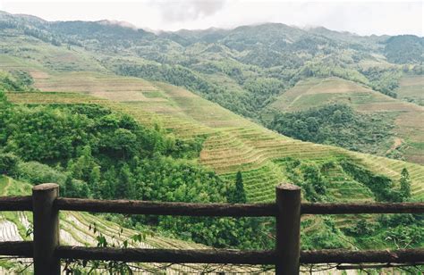 Hiking the Longji Rice Terraces: A Complete Guide