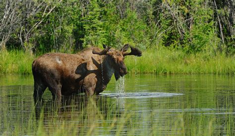 Kluane National Park Yukon | Doets Reizen Experience Map