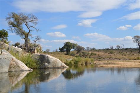 Krugerpark Zuid afrika | Afrika, Zuid afrika