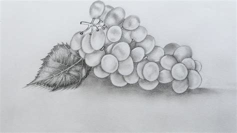 How to Sketch a Grapes - YouTube