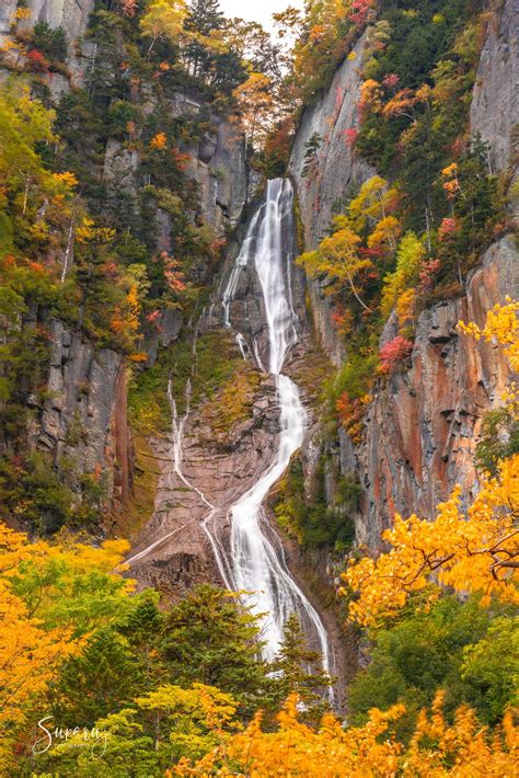 Ginga & Ryusei Waterfall 🍂 - Outside The Room