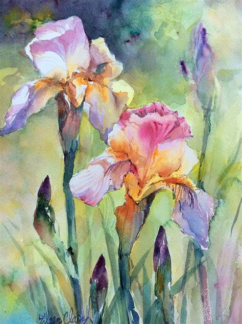 Watercolor Iris | Iris painting, Watercolor iris, Watercolor flowers paintings