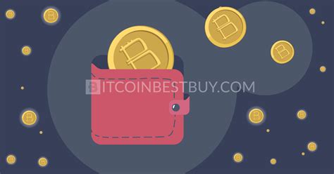 Top the Most Secure and Trusted Bitcoin Wallets | BitcoinBestBuy