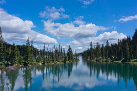 Best Hikes in Flathead National Forest (MT) | Trailhead Traveler