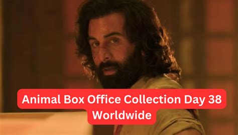 Animal Box Office Collection Day 38 Worldwide Collection Till Now