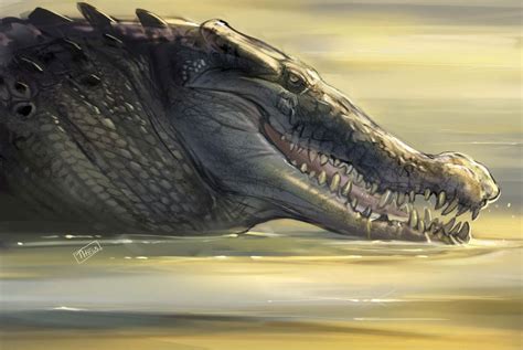 Saltwater Crocodile — Expedition Art