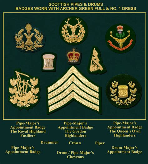 Current Militaria (2001-Now) Collectibles Army E-5 Sergeant Gold/Green ...