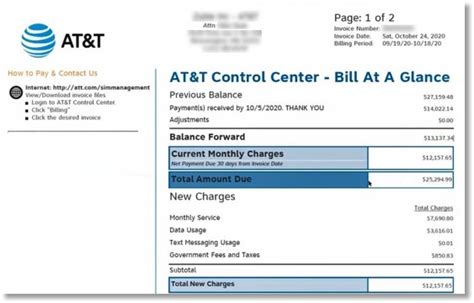 Billing Invoice Overview Example - Invoices with Domestic Solutions ...