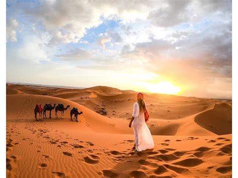 How to Book the Best Sahara Desert Tour | Desert tour, Travel, tourism, Africa travel