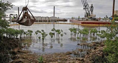 Punta Rassa Oyster Restoration (Lee County) | Florida Living Shorelines