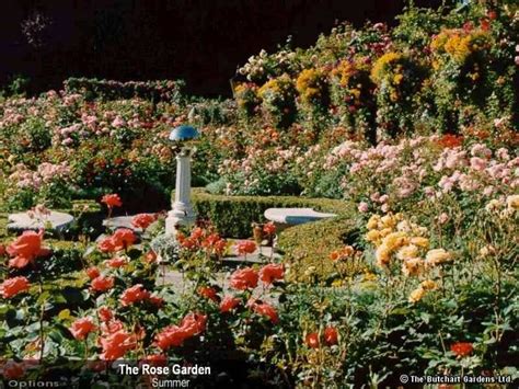 Butchart Gardens. Rose Garden, summer | Jardim