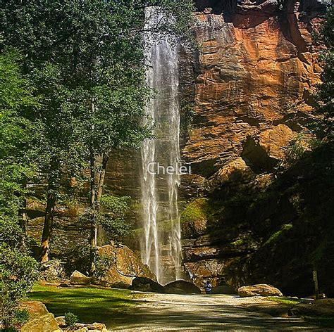 "Morning Rush - Toccoa Falls" by Chelei | Redbubble